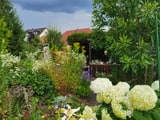 Bild 15